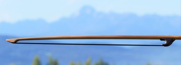 Acacia bows 16 oct (3)