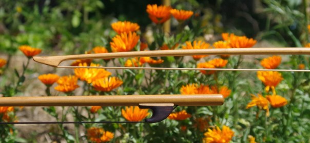 Acacia bows - Copie (3)